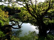 069  Sorakuen Garden.JPG